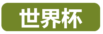世界杯