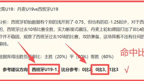 泰国足球终极指南：战绩耀眼背后的关键优势