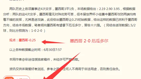 澳大利亚国少主帅访谈：世少赛遗憾出局，缺席四国赛阵容缺席之谜